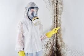 Best Mold Removal for HVAC Installations  in Mckinley, PA